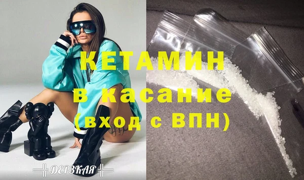 стаф Арсеньев