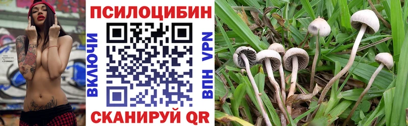 Псилоцибиновые грибы Cubensis  мега ONION  Новомосковск 